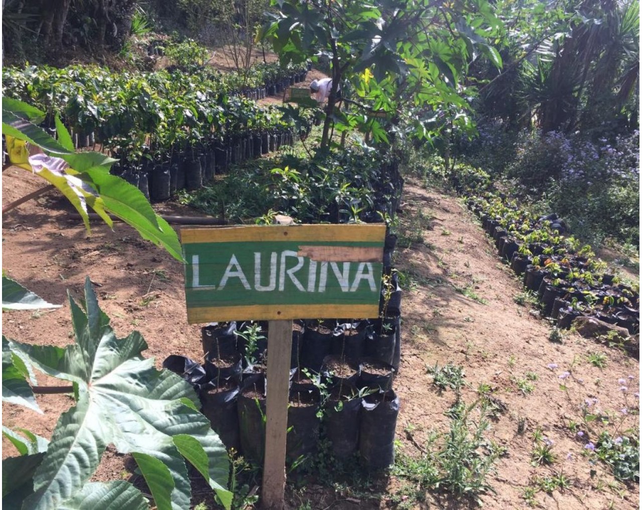 Santa Lucia Honduras