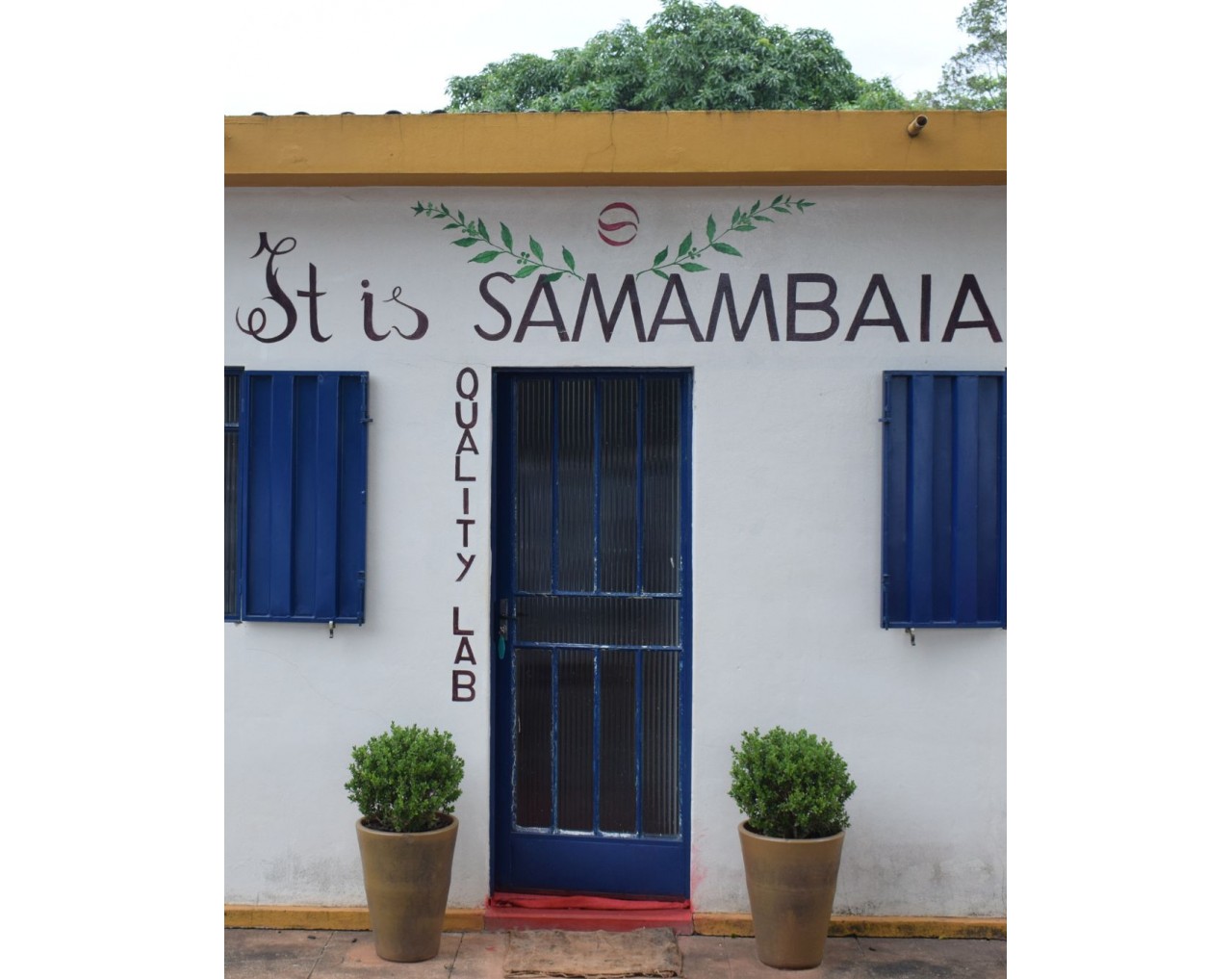 Fazenda Samambaia / Catigua - Brazil