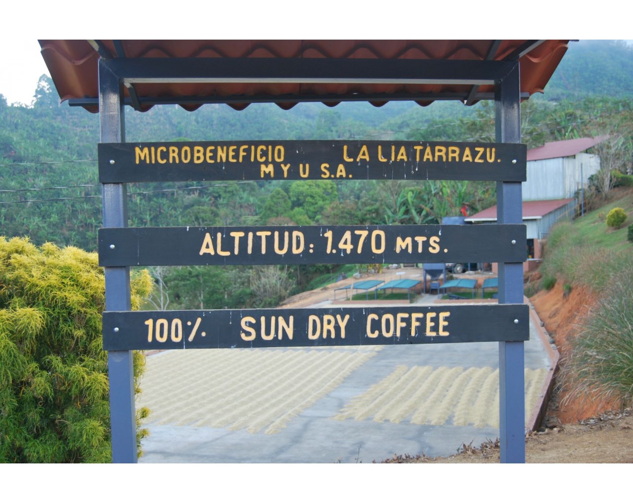 La Lia micromill - Costa Rica