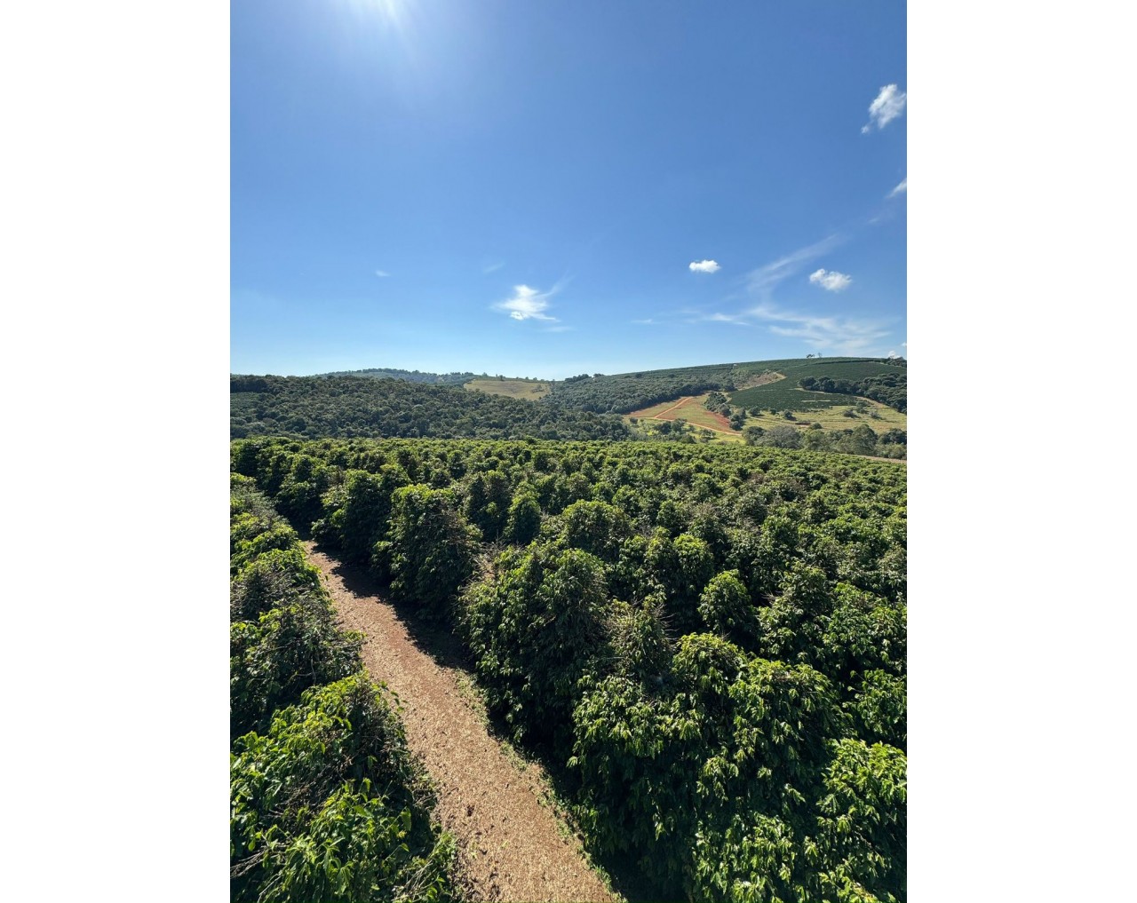 Fazenda Lagoinha Brazil